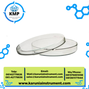 Anumbra Petridish 60x15