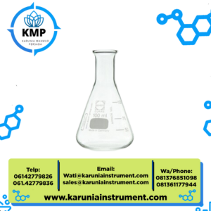 Duran Erlenmeyer Flask 100 ml