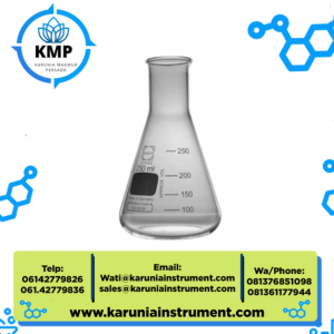 Duren Erlenmeyer Flask 250ml