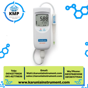 Hanna Portable pH Meter for Food and Dairy Model : HI99161