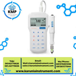 Hanna instruments Professional Portable Meat pH Meter Model : HI98163