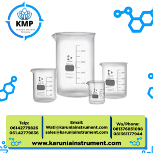 Duran 211065408 Low Form Beaker with Spout
