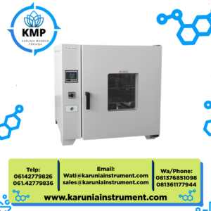 Longyue Benchtop Dual Flow Drying Oven LDO-101-3