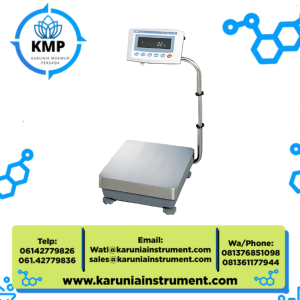 AND Micro balance GP-32K