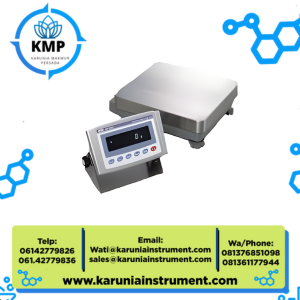 AND Micro balance GP-61KS