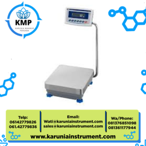 AND Micro balance GF-32001L